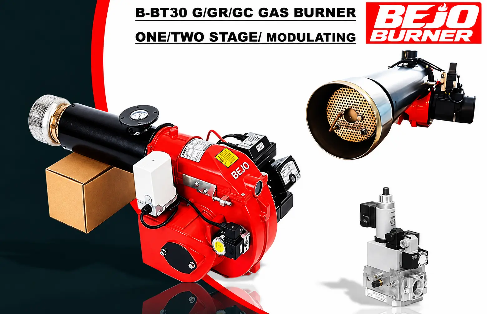 Gas Burner BTN20-30G-GC Series